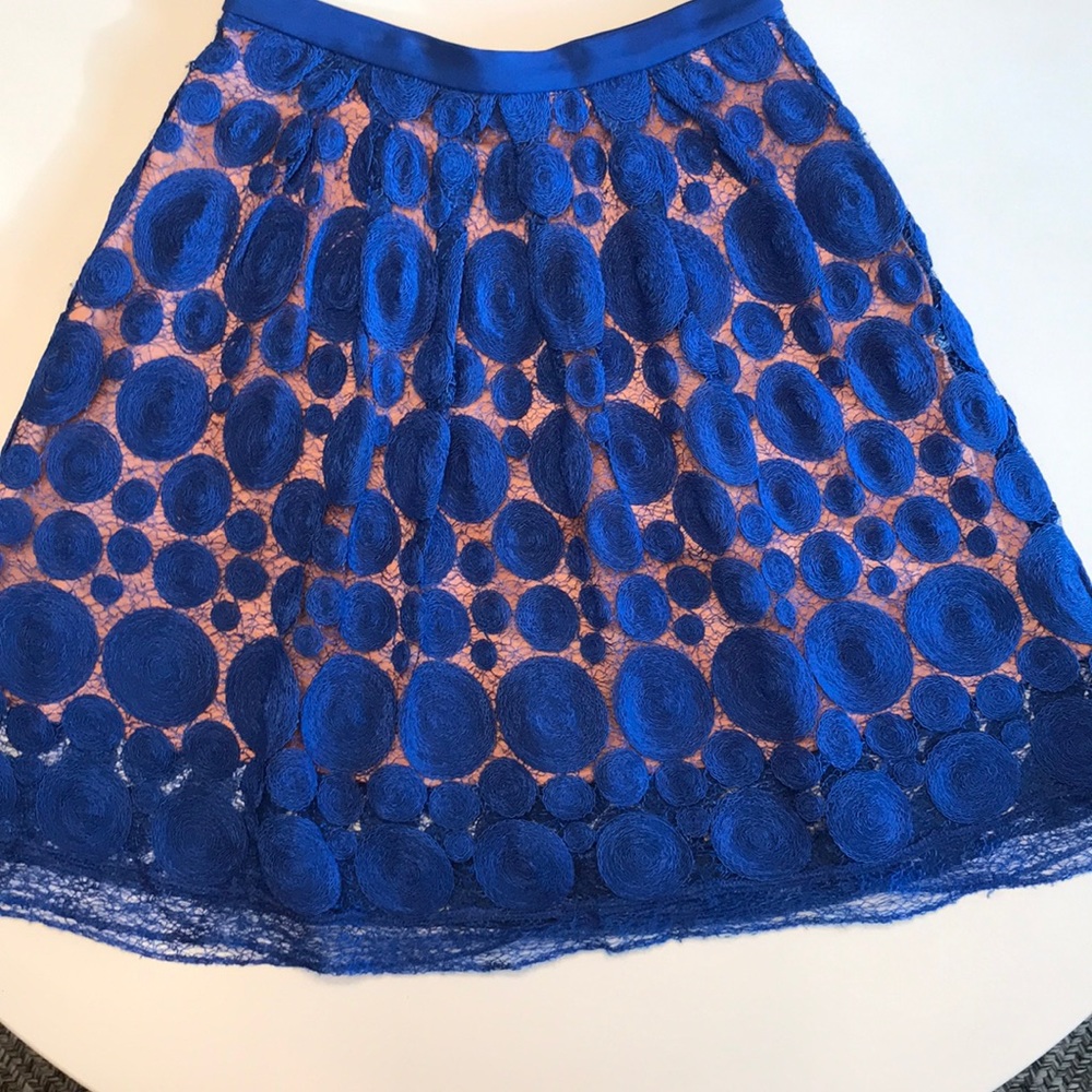 Blue Anthropologie A-Line Skirt